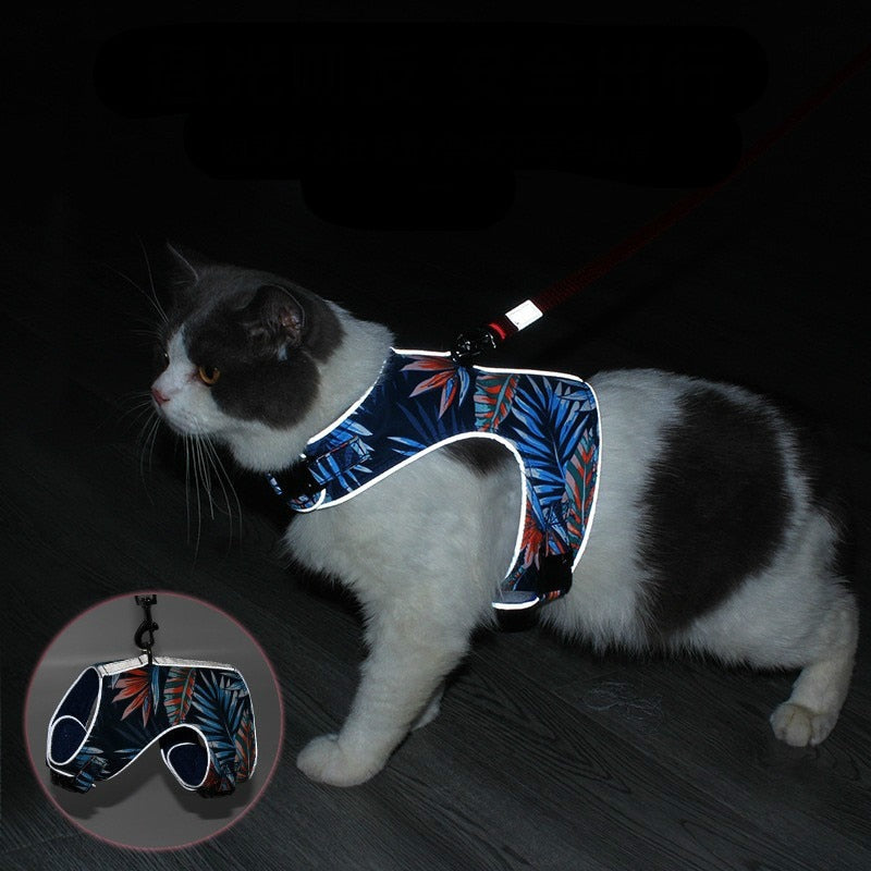 Reflective breathable cat harness for night walks night details show