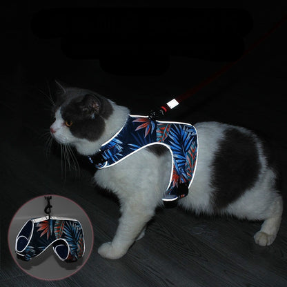 Reflective breathable cat harness for night walks night details show
