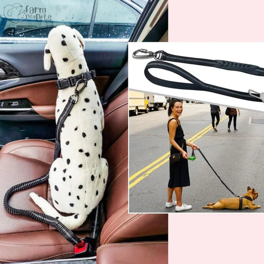 Ride & Stride 2-in1 Reflective Dog Leash Farm City Pets