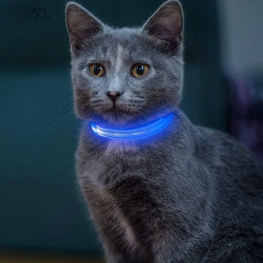 SafeGlow LED Cat Collar Farm City Pets