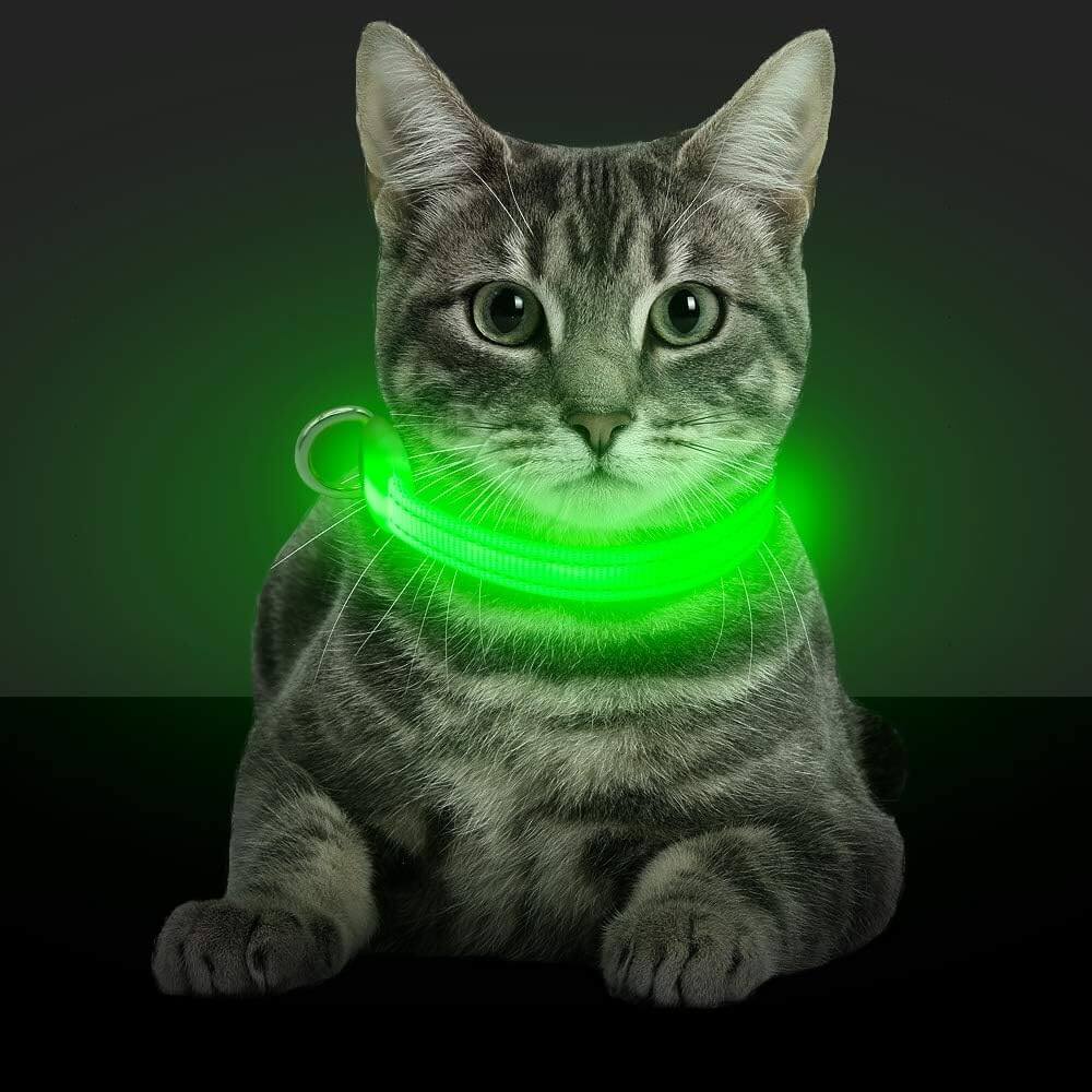 SafeGlow LED Cat Collar Farm City Pets