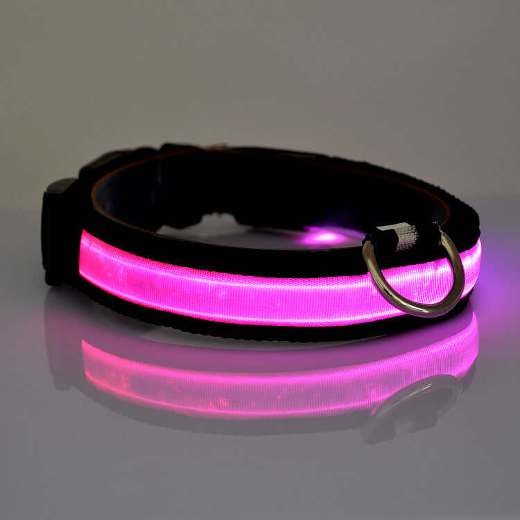 SafeGlow LED Cat Collar Farm City Pets