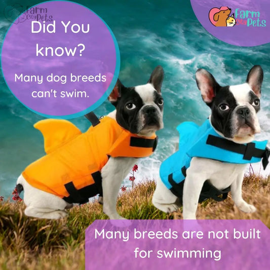 SharkDog Safety Life Vest | Farm City Pets Farm City Pets