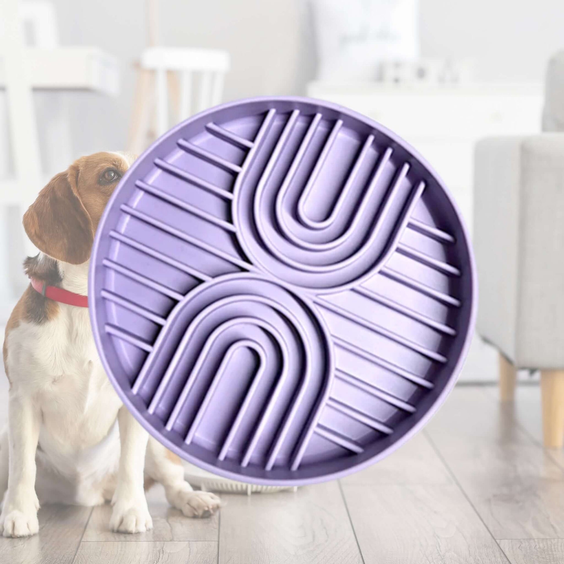 StayPut Slow Feeder – Lilac Farm City Pets