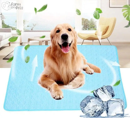 Summertime Pet Cooling Mat Farm City Pets