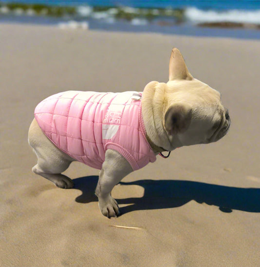 Small dog wearing The Dog Face Alpine Puffer Vest in pink at the beach