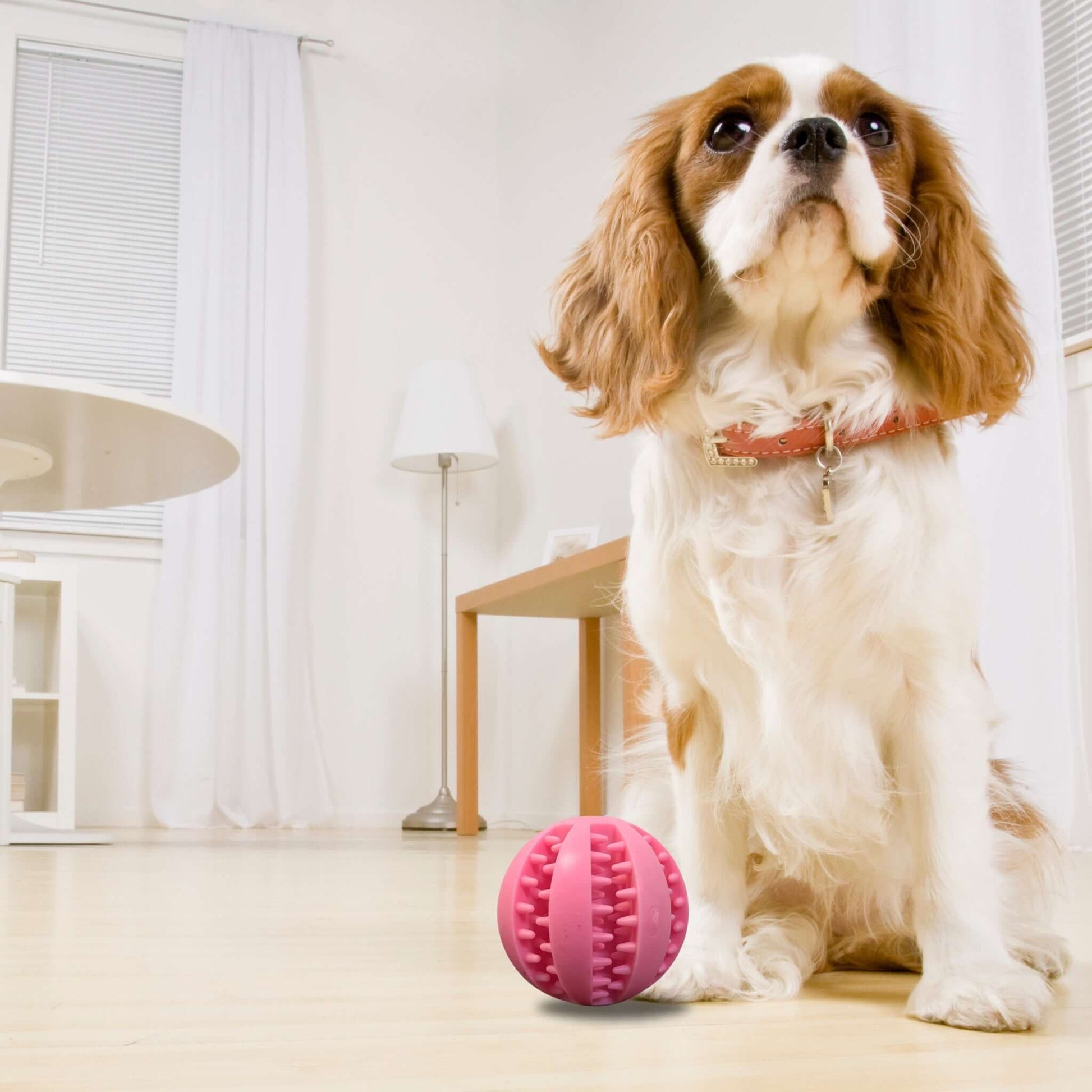 Ultimate Dog Fun Ball Farm City Pets