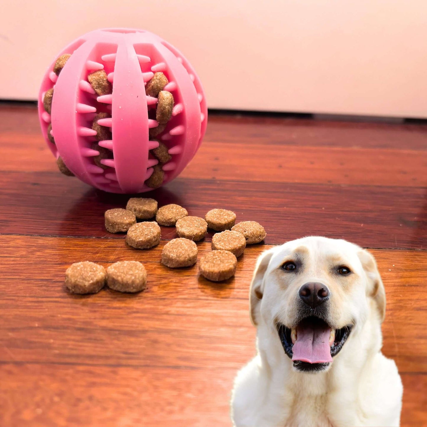 Ultimate Dog Fun Ball Farm City Pets