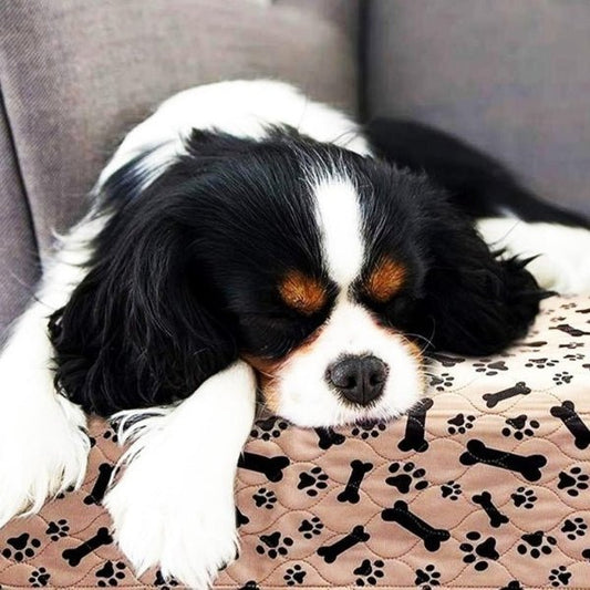 Anti-Leak Puppy Pee Pad (Washable) Farm City Pets