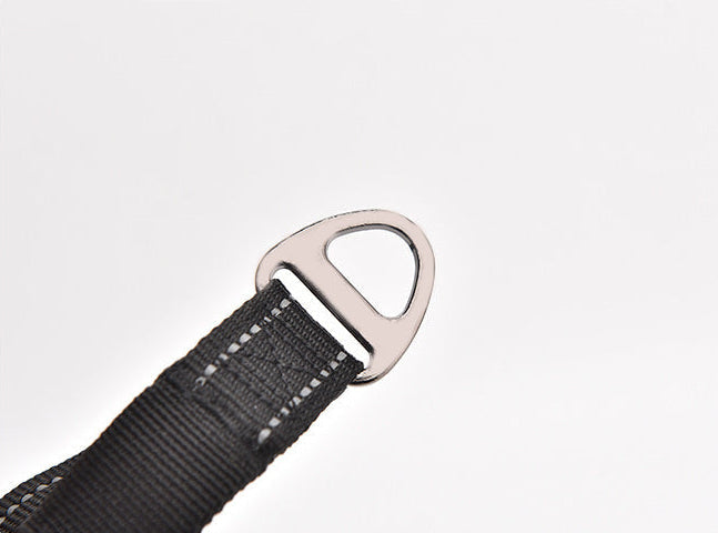 Ride & Stride 2-in1 Reflective Dog Leash Farm City Pets