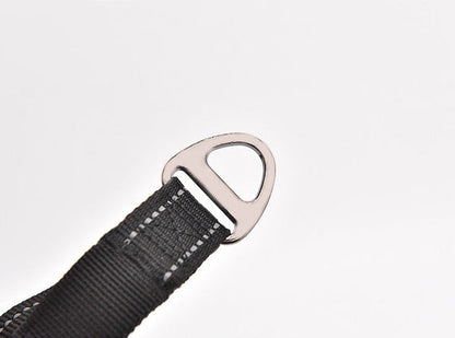 Ride & Stride 2-in1 Reflective Dog Leash Farm City Pets
