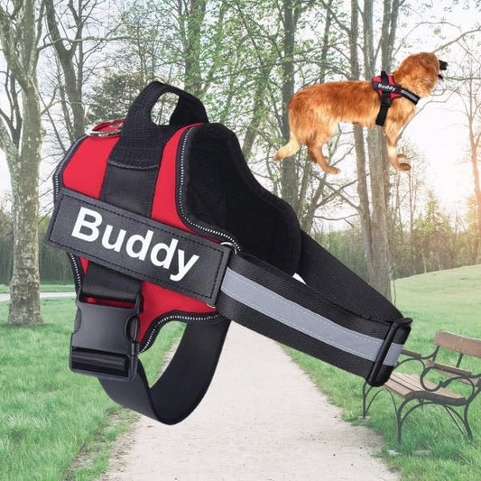 Custom No Pull Reflective Dog Harness - Add Your Pet's Name Farm City Pets