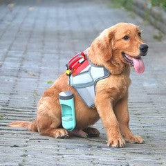 Dog wearing a harness with a water bottle attached on an outside paved floor.