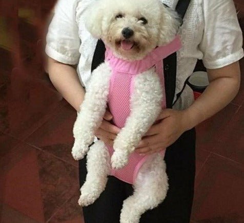 Easy-Fit Pet Carrier Backpack Farm City Pets