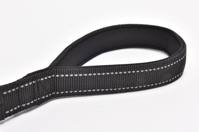 Ride & Stride 2-in1 Reflective Dog Leash Farm City Pets
