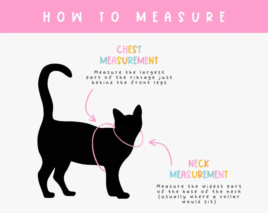 Cat harness and leash how to measure your cat