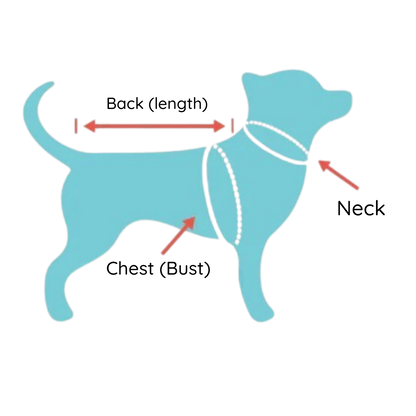 All-Weather Harness Dog Jacket – Waterproof & Fleece-Lined Winter Coat