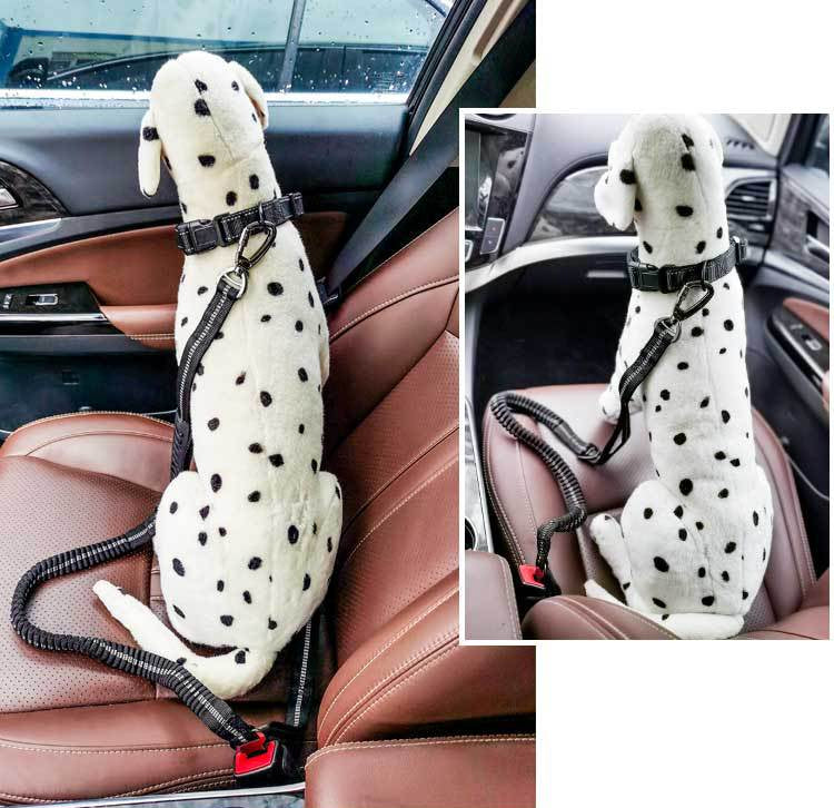 Ride & Stride 2-in1 Reflective Dog Leash Farm City Pets