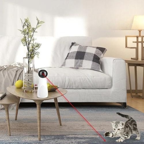 aser Kitty Auto Chaser automatic laser cat toy cat playing with red laser beam in a cosy living room