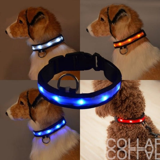 LED Pet Safety Collar - Chargeable, USB cable included Farm City Pets
