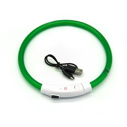 NightBright USB Rechargeable LED Dog Collar Farm City Pets