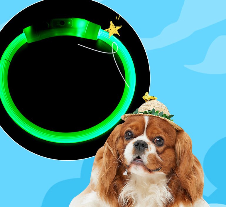 NightBright USB Rechargeable LED Dog Collar Farm City Pets
