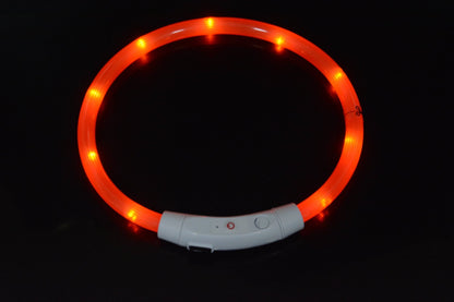 NightBright USB Rechargeable LED Dog Collar Farm City Pets