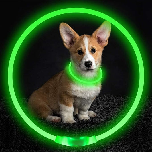 NightBright USB Rechargeable LED Dog Collar Farm City Pets