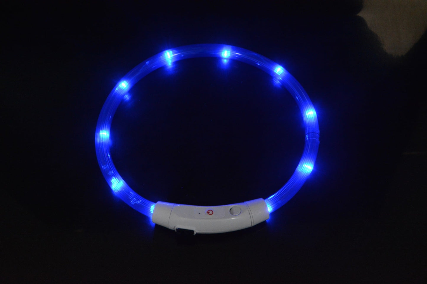 NightBright USB Rechargeable LED Dog Collar Farm City Pets