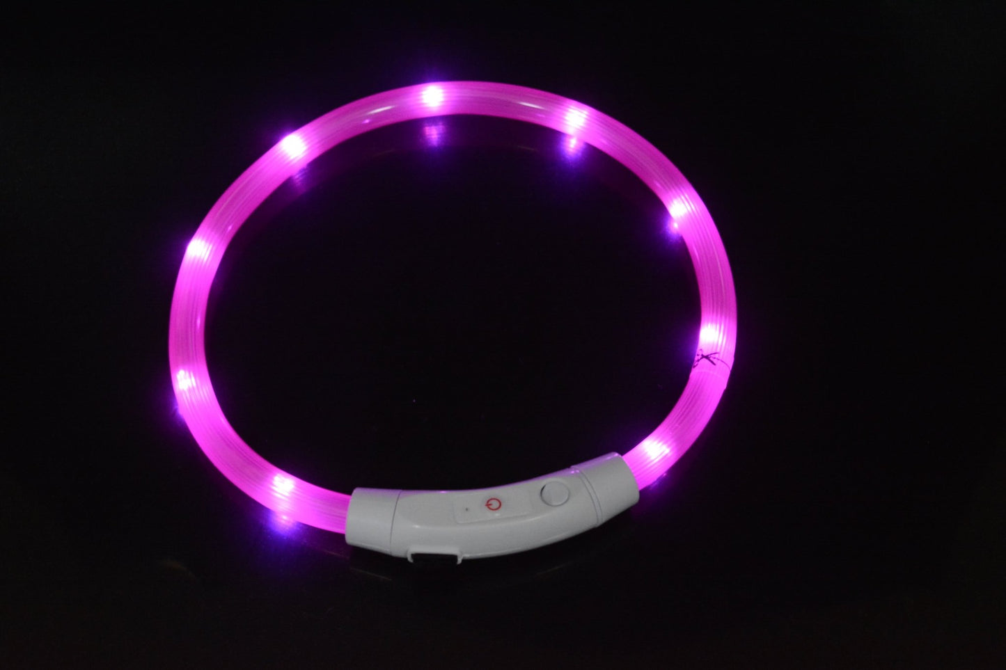 NightBright USB Rechargeable LED Dog Collar Farm City Pets