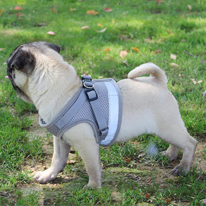 Reflective Cat Safety Harness + Leash Set Farm City Pets