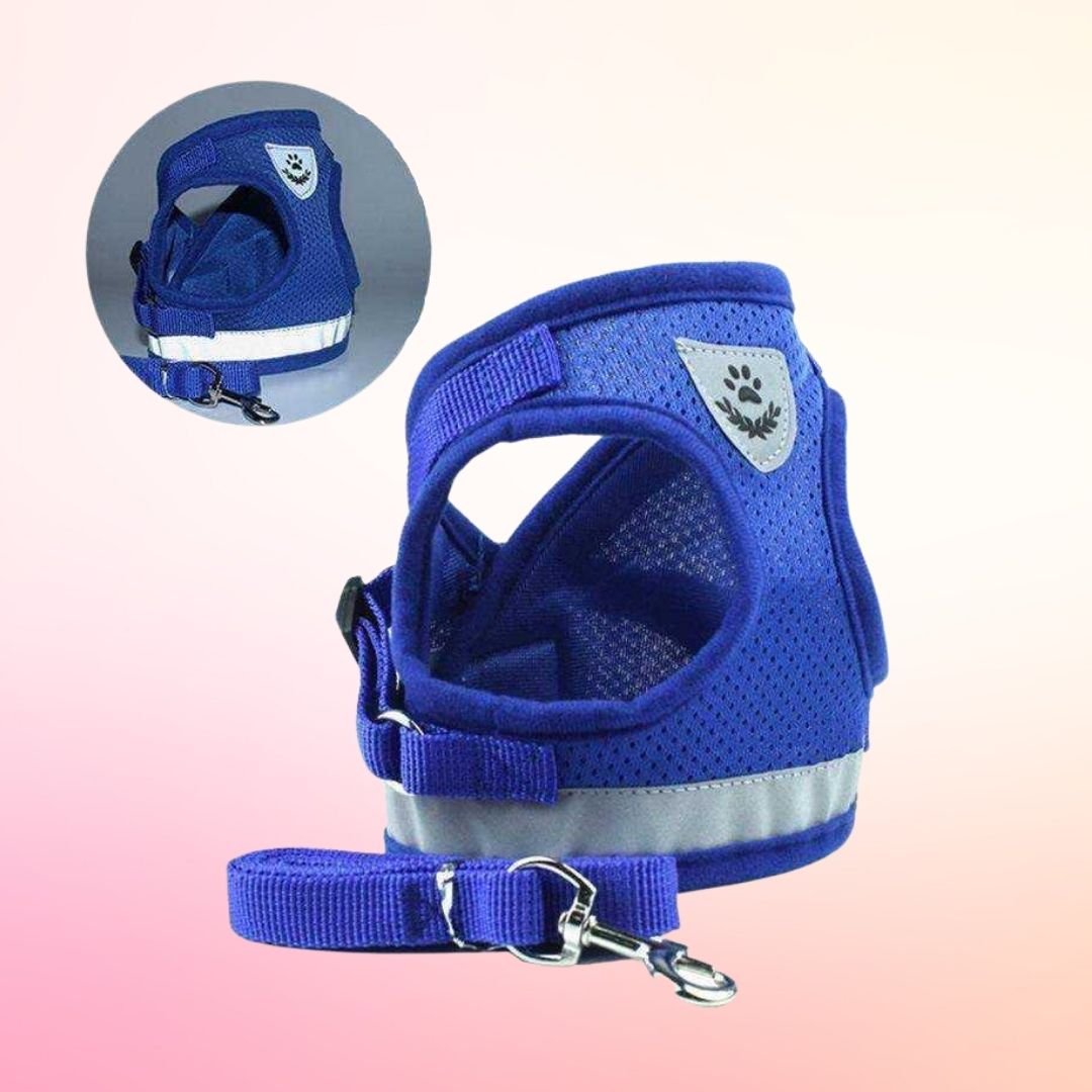 Reflective Cat Safety Harness + Leash Set Farm City Pets