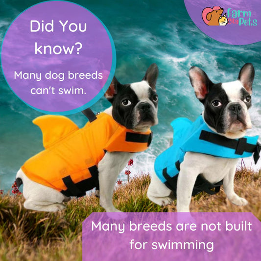 SharkDog Safety Life Vest | Farm City Pets Farm City Pets