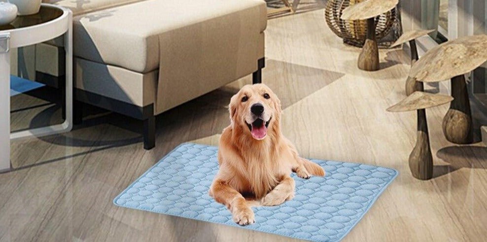 Summertime Pet Cooling Mat Farm City Pets