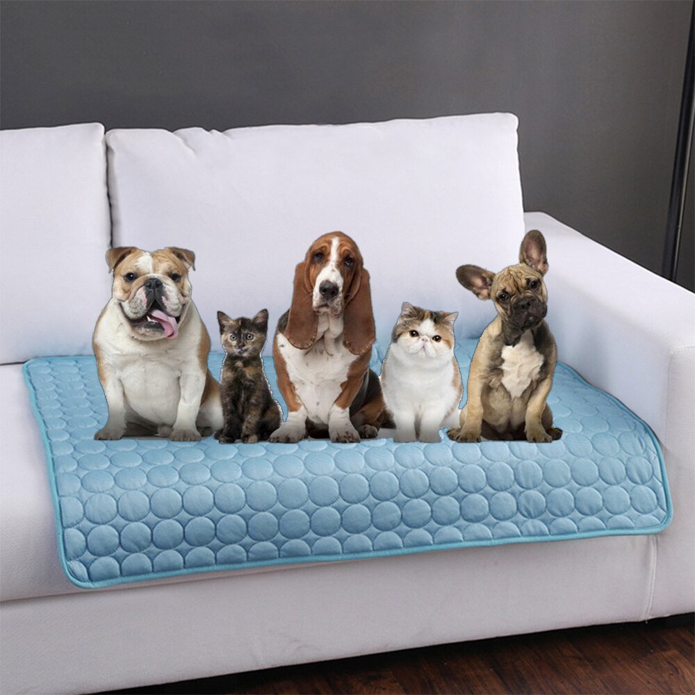 Summertime Pet Cooling Mat Farm City Pets