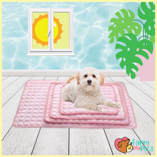 Summertime Pet Cooling Mat Farm City Pets