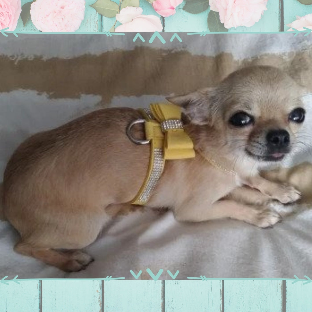 Blingy Bow Harness Farm City Pets