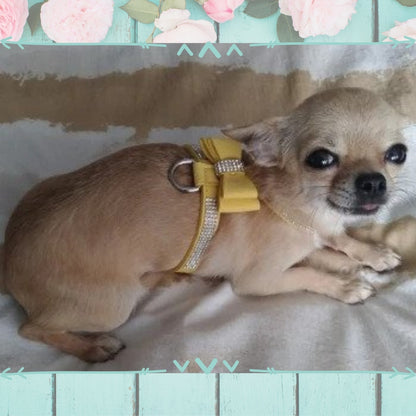Blingy Bow Harness Farm City Pets
