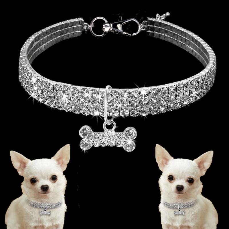 Glamorous Glitter Stretch Collar - Farm City Pets